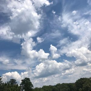 Meet your Posher, Carol